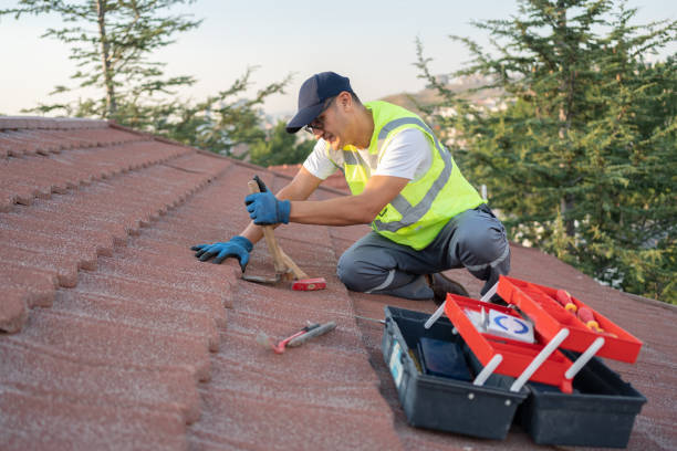 Best Roof Leak Repair  in Woodmoor, CO