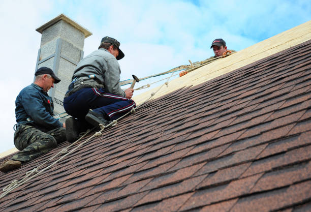 Best Metal Roofing Contractor  in Woodmoor, CO